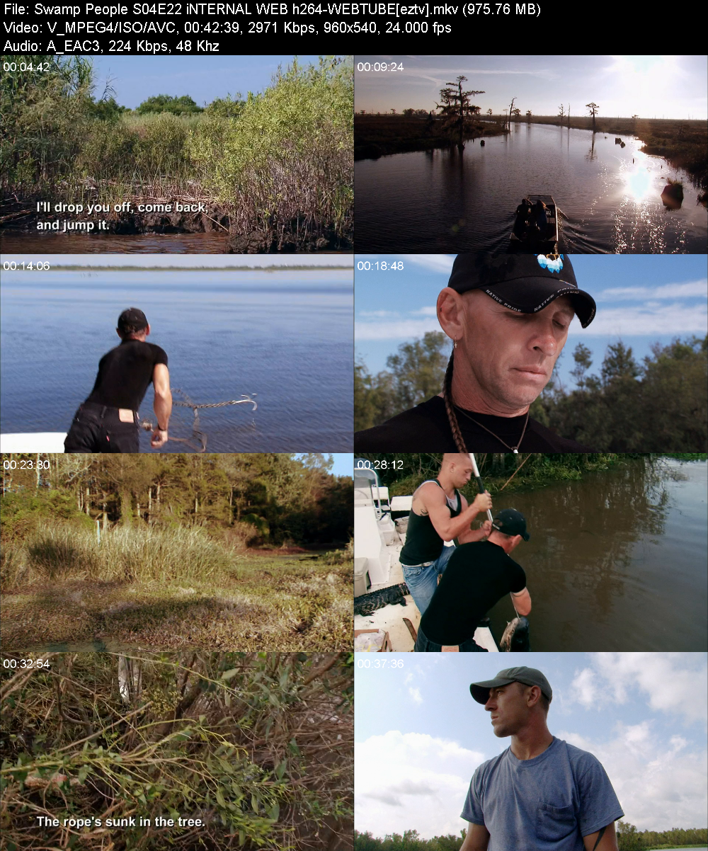 Swamp People S04E22 iNTERNAL WEB h264 WEBTUBE